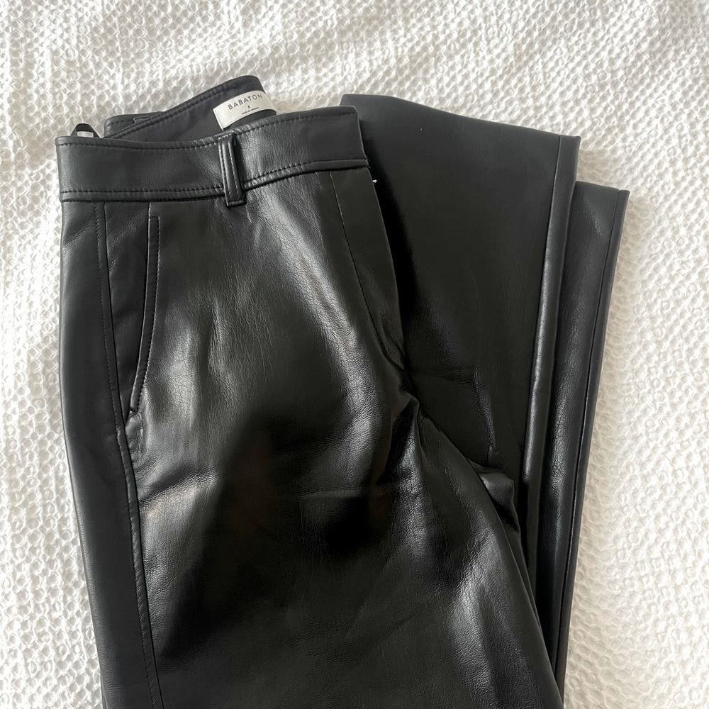 Aritzia Babaton leather pants - size 6
